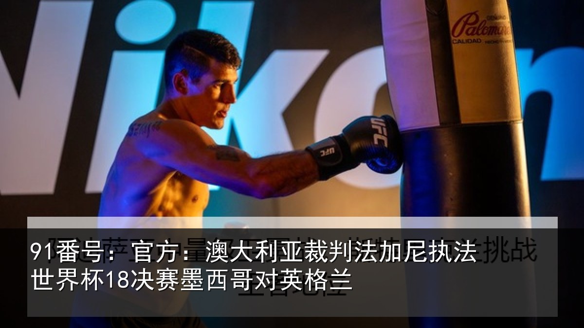 91番号:官方:澳大利亚裁判法加尼执法世界杯18决赛墨西哥对英格兰