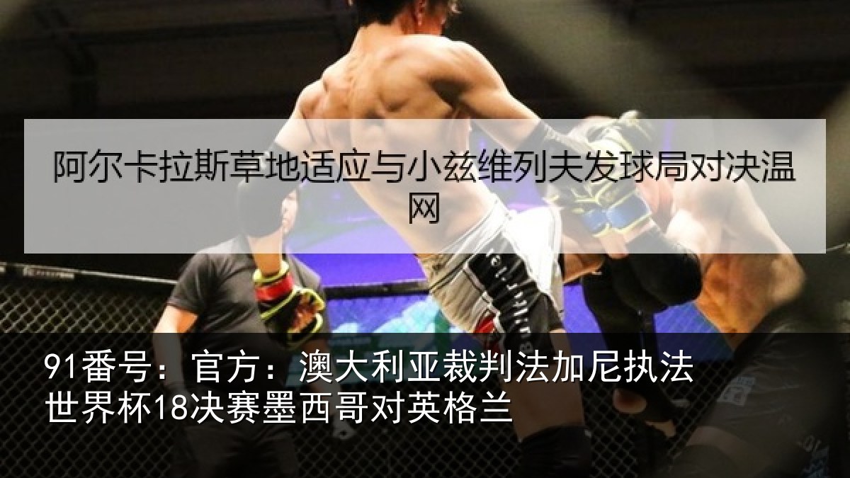 91番号:官方:澳大利亚裁判法加尼执法世界杯18决赛墨西哥对英格兰